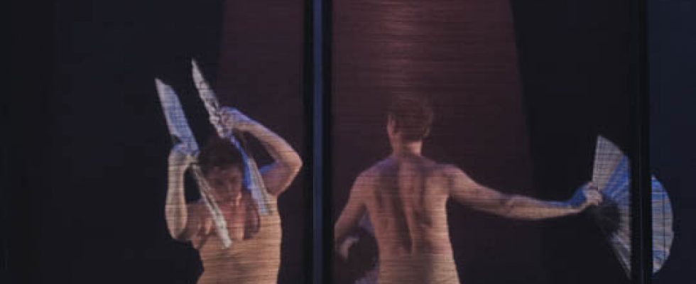 Théâtre d’objets / Marionnette / Jonglage / Musique Création 2015 – Tous public à partir de 8 ans &nbsp; Librement inspiré du conte éponyme japonais, 人魚NINGYO est une rêverie sur la relation à deux à travers un regard fantasmé sur l’esthétique japonaise. Danse, manipulation d’objets et de marionnettes et musique [&hellip;]